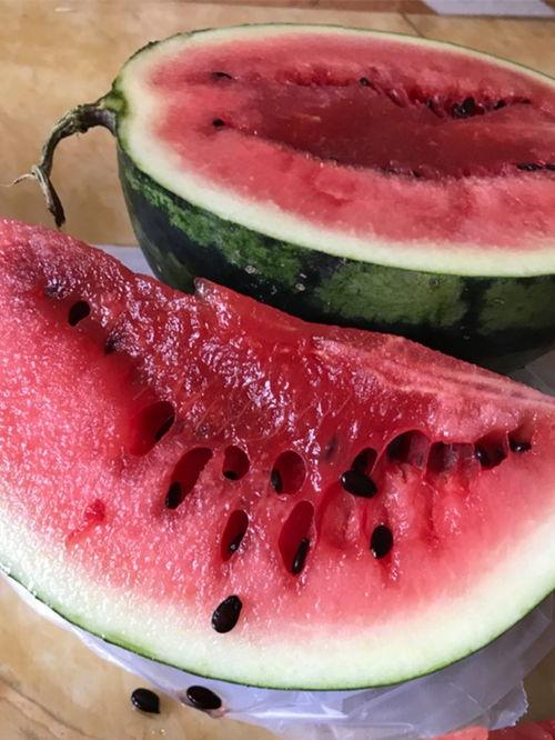 911八卦爆料网 朝阳吃瓜51cg,911八卦爆料网与51cg吃瓜大揭秘