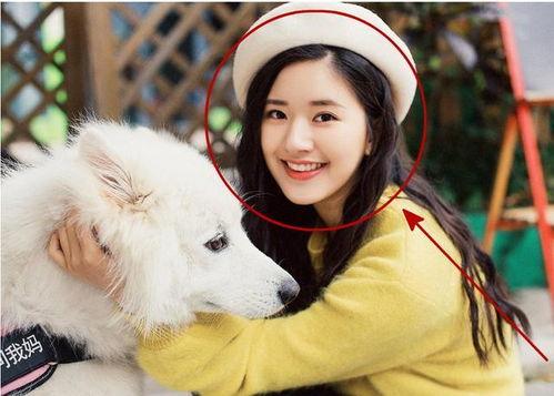 赵露思吻戏 2025十大社会热点事件,2025年度赵露思吻戏引发的十大社会热点事件盘点